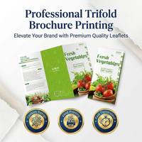 Impression de brochures pliées personnalisées de qualité supérieure, dépliants marketing haute résolution aux couleurs vives pour les marques, impression de prospectus personnalisés, prospectus imprimés