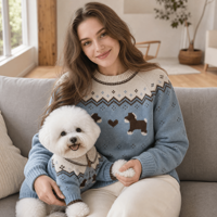 Ensemble de pulls doux personnalisés en tricot assortis pour femme et chien, vêtements pour animaux de compagnie, usine ODM OEM, vente en gros