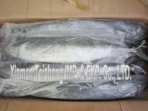 ปลาแมคเคอเรลคิงฟิชแช่แข็งคุณภาพดีขาย - Product Image 5