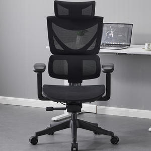 เก้าอี้สำนักงานดีไซน์หรูหราทันสมัยสำหรับผู้บริหาร ผู้มาเยี่ยมชม และผู้ใหญ่ ออกแบบตามหลักสรีรศาสตร์ พร้อมพนักพิงตาข่าย - Product Image 2