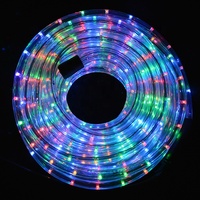 Guirlandes LED flexibles et modulables 110V avec alimentation, étanches IP44 pour enseignes DIY, artisanat et décorations de fêtes