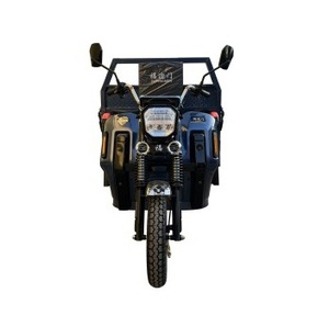 Triciclo OEM Personalizable de 1000W para Adultos, Fabricado en Fábrica, Carrocería Abierta, Voltaje de 60V, Opción de Carga Disponible - Product Image 2