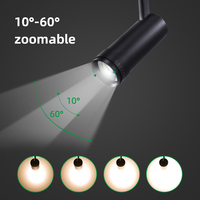 Projecteur sur rail magnétique 48V COB LED 10W 20W 30W en aluminium, luminaire orientable pour projets commerciaux