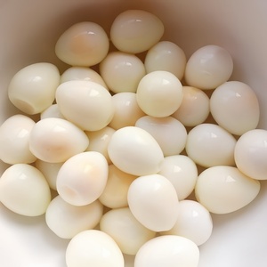 <span class=keywords><strong>Huevos</strong></span> de codorniz frescos de calidad superior a granel, <span class=keywords><strong>precio</strong></span> barato, proveedor al por mayor para uso alimentario - Product Image 4