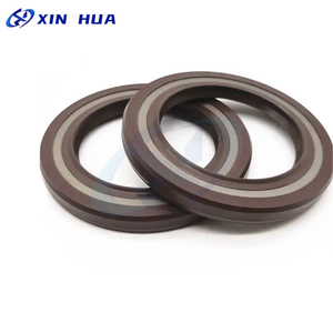 Guarnizione Olio Resistente alla Corrosione NBR FKM PTFE DC TC TCV in Gomma 22*40*8.5 45*60*7 National Seal XINHUA Certificato ISO/TS16949 - Product Image 6