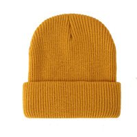 Bonnet tricoté en laine aiguilletée unie à panneau lumineux, style dôme, en acrylique double couche, tricoté circulaire, uni, chaud pour l'extérieur