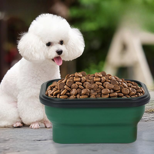 Tazón Portátil Plegable para Comida y Agua para Perros, Ideal para Viajes al Aire Libre - Product Image 1