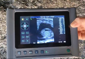 Nouvel échographe vétérinaire portable à écran tactile de 8 pouces, <span class=keywords><strong>prix</strong></span> compétitif, mesure obstétricale et cardiaque - Product Image 4