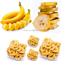 Volledig automatische commerciële grootschalige productielijn voor bananenchips en -crisps
