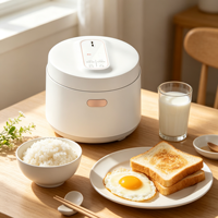 Cuisinière à riz de haute qualité, multicuiseur, 2L, mini-cuisinières à riz électriques pour un usage domestique