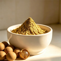 Poudre de fruit de longane pure naturelle, directement de l'usine, poudre d'arilles de longane séchées, sans additifs, pour boissons, desserts, pâtisseries, soutien à la santé
