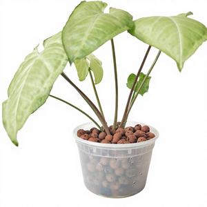 Billes d'argile expansée légères en vrac de 8-12 mm, rouges, rondes, pour culture hydroponique, support de culture LECA - Product Image 1