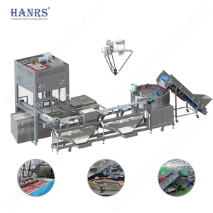 Nueva Línea de Envasado de Salchichas Totalmente Automática Hanrs |   Sistema de Producción de Alta Velocidad y Eficiencia 22/44 <span class=keywords><strong>BPM</strong></span>, Fácil Operación - Product Image 2