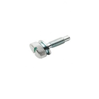 Vis métriques métalliques sur mesure de précision non standard, OEM ODM, à tête ovale, fendues, moletées, usinées CNC, fixations, oxyde noir