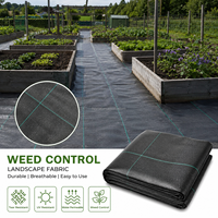 Toile de paillage en PP tissé uni, bâche anti-mauvaises herbes, couverture de sol pour l'agriculture, le jardin et les vergers