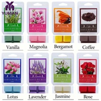 Bloc de bougie parfumée sans flamme à base de cire de soja, coffret cadeau aromatique DIY pour la Saint-Valentin