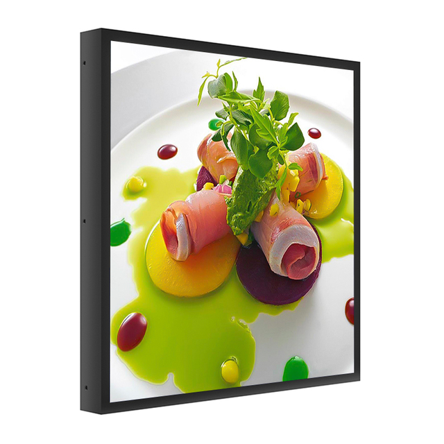 22 Inch LCD Monitor LED Backlight 1:1 Ratio 1920x1920 Resolution HDM Input Square Screen Computer Monitor