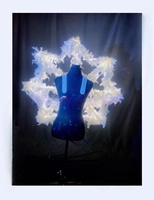 Costume de danse orientale pour femmes, design original, déesse de la neige et de la glace de Noël, sceptre lumineux, bar, Gogo, spectacle du Nouvel An