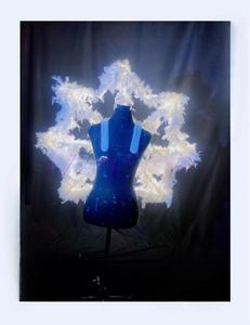 Costume Originale da Dea della Neve Natalizia con Scettro Luminoso per Danza del Ventre, Abito da Spettacolo per Donna per Capodanno - Product Image 2