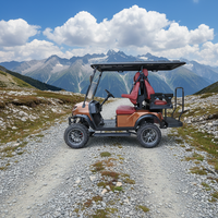 Nouveau prix compétitif, voiturette de golf électrique personnalisée à 4 places pour adultes, homologuée pour la route, avec siège arrière rabattable pour le terrain de golf