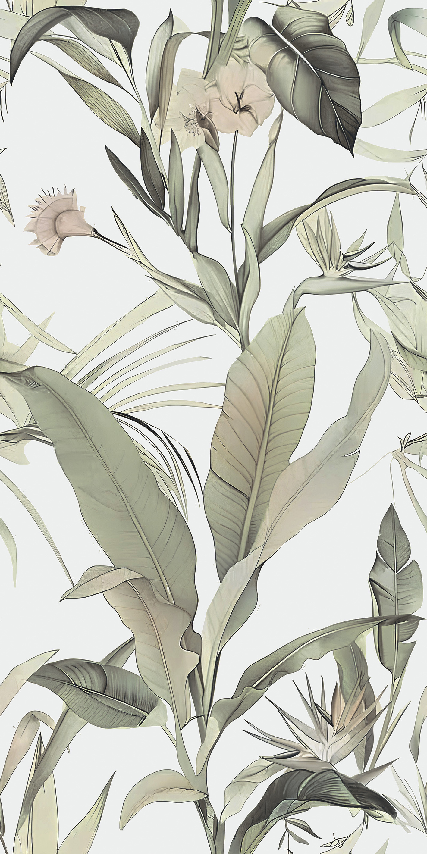 CS612T08HB