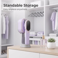 Mini fer à vapeur portable et défroisseur 1300W avec protection anti-brûlure à sec, réservoir d'eau de 160 ml, emballage en boîte couleur