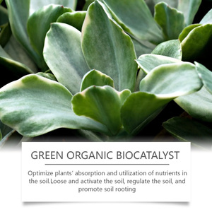 MoonSpry Vert Biocatalyseur Organique <span class=keywords><strong>Pot</strong></span> de Plantes Fleur Nutrition Azote Phosphate Potassium Engrais Nutriments - Product Image 4