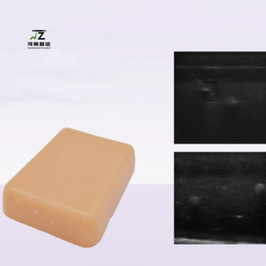 Módulo de Entrenamiento para Inyección de Bloqueo Nervioso Guiado por Ultrasonido - Maniquí de Tamaño Real para Punción Nerviosa con Guía de Ultrasonido - Product Image 3