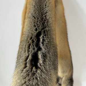 <span class=keywords><strong>Pellicce</strong></span> <span class=keywords><strong>di</strong></span> <span class=keywords><strong>Volpe</strong></span> Rossa Reale, Pelli Naturali Conciate, Colore Naturale, Pelle Grezza <span class=keywords><strong>di</strong></span> <span class=keywords><strong>Volpe</strong></span> <span class=keywords><strong>Argentata</strong></span> per Abbigliamento, Sciarpe, Pelli Animali Dense - Product Image 6