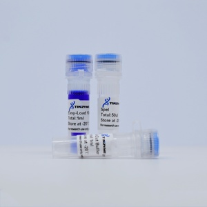 Endonucleasa de restricción Tinzyme SpeI 50l/vial 99% de pureza para digestión enzimática rápida de plásmidos, ADN, productos de PCR y ADN genómico - Product Image 3