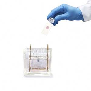 आदर्श सतह विश्वसनीय चिपकने वाला 1.0mm 1.1mm 1.2mm के लिए अनुकूलित माइक्रोस्कोप स्लाइड Ivd पैथोलॉजी ऊतक विज्ञान cytology - Product Image 3