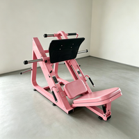Unité d'entraînement des jambes à plaque inclinée pour usage intensif, pour le développement musculaire des jambes dans les centres de fitness commerciaux