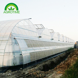 Invernadero de techo de mariposa Ventilación mejorada Estructura duradera Acero galvanizado Disponible <span class=keywords><strong>Agricultura</strong></span> <span class=keywords><strong>hidropónica</strong></span> pequeña y grande - Product Image 6