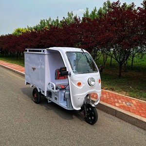 Tricycle électrique polyvalent et léger, facile à utiliser, capacité de charge de 100 à 300 kg - Product Image 4