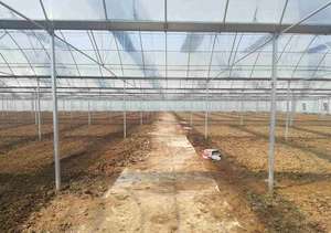 ท่อชุบสังกะสีชั้นเดียวสำหรับโรงเรือนสไตล์วิคตอเรียพร้อมวัสดุ PE สำหรับโรงงาน - Product Image 3