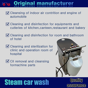 Macchina Elettrica Industriale per <span class=keywords><strong>Lavaggio</strong></span> <span class=keywords><strong>Auto</strong></span> a Vapore ad Alta Pressione, Pulizia <span class=keywords><strong>Interni</strong></span> Motore, Disinfezione ad Alta Temperatura, Acciaio Inossidabile - Product Image 4