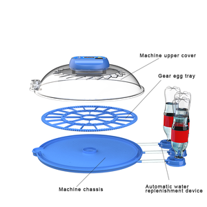 Mô Hình Mới Tự Động <span class=keywords><strong>50</strong></span> Trứng Lồng Ấp Và Hatcher Để Bán - Product Image 5