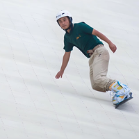 Simulateur de piste de ski sèche, équipement d'entraînement au ski commercial en salle, système de surface synthétique réglable