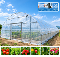 Kit complet de serre agricole de haute qualité avec gouttières de plantation pour légumes et fraises