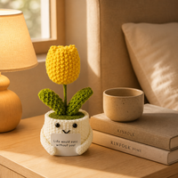 Mini plantes en pot de cactus tricotées à la main au crochet, décoration mignonne pour bureau, décoration créative de fleurs succulentes, cadeau pour collègue