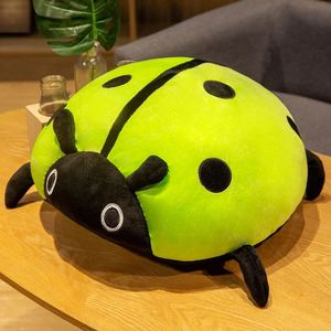 Simpatici Giocattoli di Peluche a Forma di Insetti Cartoni Animati Gialli Verdi Blu Viola Rossi, Scarafaggi Coccinelle Animali di Peluche All'ingrosso - Product Image 5