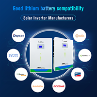Batterie LiFePO4 5kWh 10kWh à décharge profonde 51.2V 48V 100Ah 200Ah 300Ah Powerwall pour système de stockage d'énergie solaire