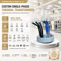 Transformateur de puissance triphasé à noyau toroïdal en cuivre de haute qualité, 50W-5000W, entrée 110V 120V, pour les nouvelles énergies
