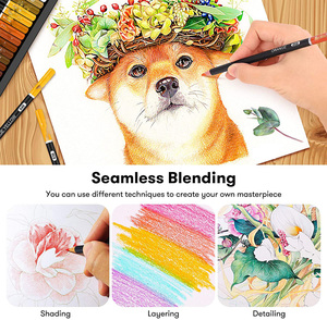 Ensemble <span class=keywords><strong>de</strong></span> 180 crayons <span class=keywords><strong>de</strong></span> <span class=keywords><strong>couleur</strong></span> Offre Spéciale, crayons <span class=keywords><strong>de</strong></span> <span class=keywords><strong>dessin</strong></span> d'art <span class=keywords><strong>de</strong></span> haute qualité dans une boîte en fer blanc - Product Image 5