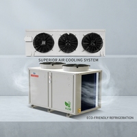Unidad Condensadora de Ahorro Energético de 15 HP, Enfriador de Aire, Sistema de Descongelación por Gas Caliente para Cámaras Frigoríficas, Conjunto de Condensación de Ahorro Energético