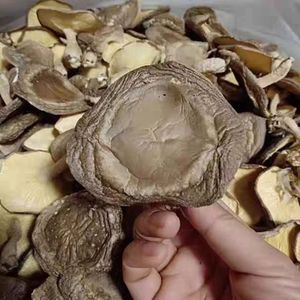 Champignons Shiitake séchés entiers Xianggu avec tiges pour la consommation alimentaire - Product Image 2
