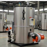Generador de Vapor Diésel Vertical Automático para Procesamiento de Aceite de Palma 1000kg/h, Caldera Industrial de Vapor de 700kw para Extracción de Petróleo Crudo