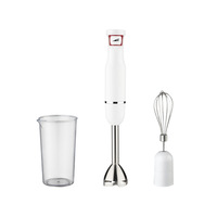 Mini mixeur plongeant sans fil professionnel RSC pour cuisine domestique, puissant et portable, avec fonction presse-agrumes, modèle HB024