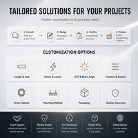 Luminaire LED à intensité sélectionnable, luminaires linéaires à puissance réglable pour les besoins de projets multi-sites