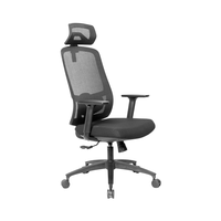 Chaise de bureau ergonomique de direction, dossier haut, appui-tête réglable, design moderne, structure en plastique, accoudoirs réglables en hauteur, pivotante